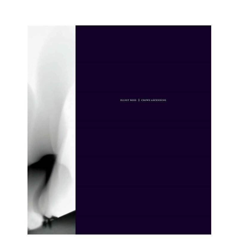 腾空的鸦 布鲁克林摄影师Ell