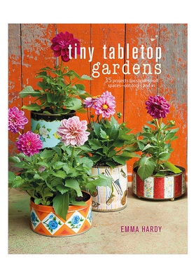 【现货】Tiny Tabletop Gardens 精致桌面花园:35个小空间花艺项目 英文原版花艺书籍进口