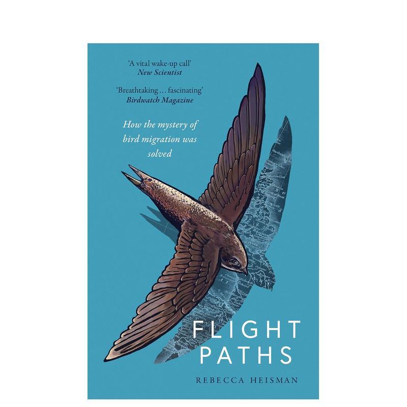 飞行路径：鸟类迁徙之谜是如何解开的