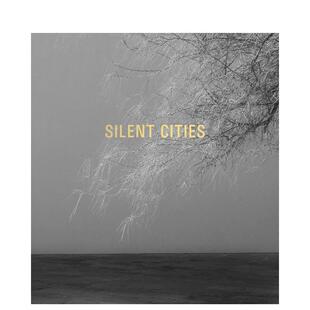 Hennek 英文摄影作品集图书 马特·亨内克 原版 Cities Silent Mat 城市 寂静 预售