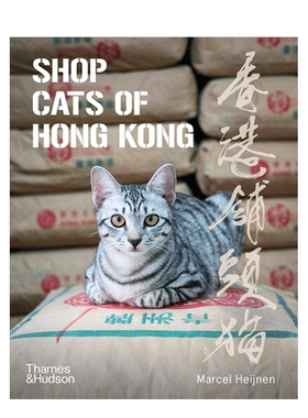 香港铺头猫ShopCatsofHo