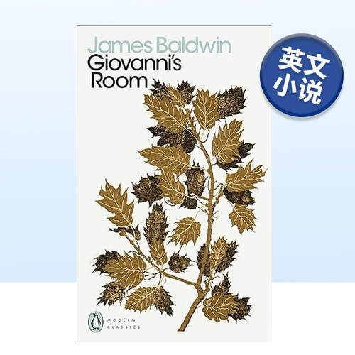 乔凡尼的房间英文小说