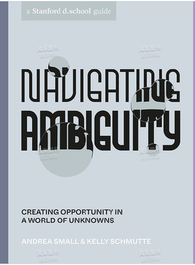 【预售】Navigating Ambiguity，驾驭不确定性