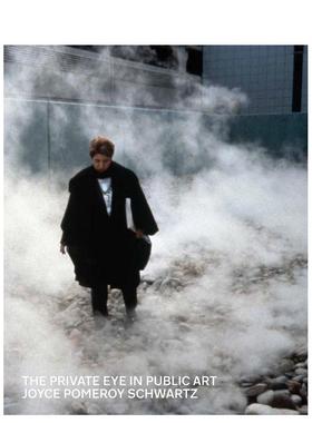 【预售】公共艺术侦探笔记 Private Eye in Public Art， The 原版英文建筑设计图书