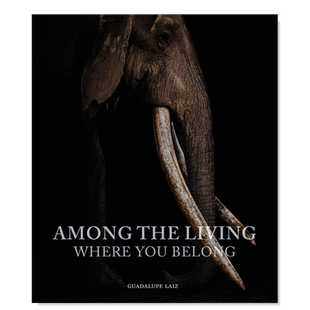 【预售】在生者之中:你属于哪里 AMONG THE LIVING: WHERE YOU BELONG英文摄影集摄影师专辑原版图书外版进口书籍 LAIZ, SKOLNICK