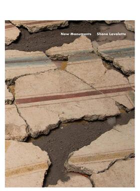 【现货】谢恩·拉瓦莱特 ：新纪念碑 【Season Series】Shane Lavalette ：New Monuments 原版英文摄影 进口图书