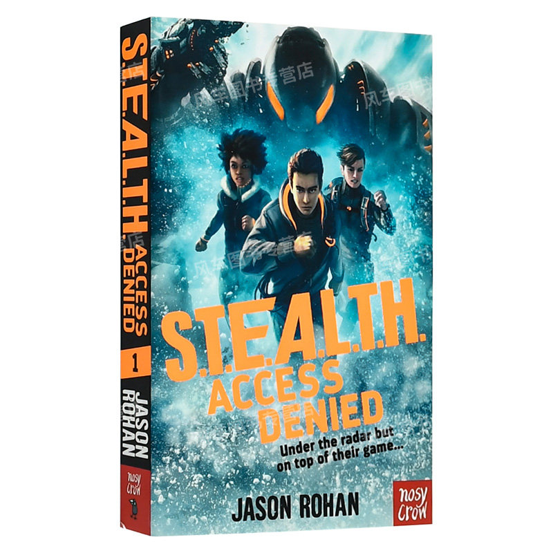 access denied 英文原版儿童小说 英语课外分级阅读章节书 10岁蚁上