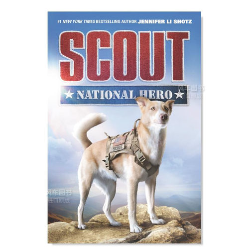 童子军民族英雄ScoutNation