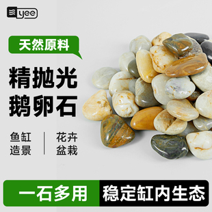 鱼缸装饰造景石头鱼缸底砂底沙雨花石摆件鹅卵石五彩色铺面小石子