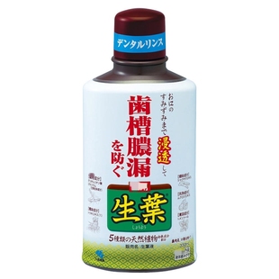 日本本土小林生葉液漱口水防止蛀牙预防牙槽脓漏330ml