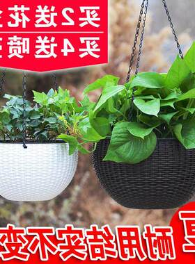 flowerpot orchid basin flower pot hanging plastic 花盆