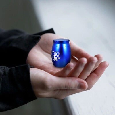 PetUrnStainlefoDogAs