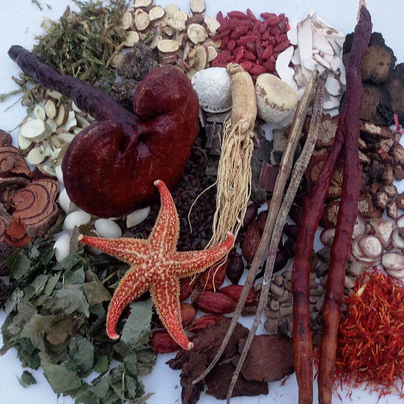 泡酒材料男滋补养生保健药酒中药材锁阳十全大补玛卡人参