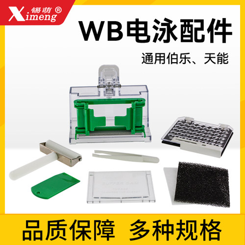 WB电泳槽转印槽western工具