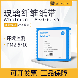 10专用30mm 1830 HGF61玻璃纤维纸带PM2.5 whatman 20m 6236