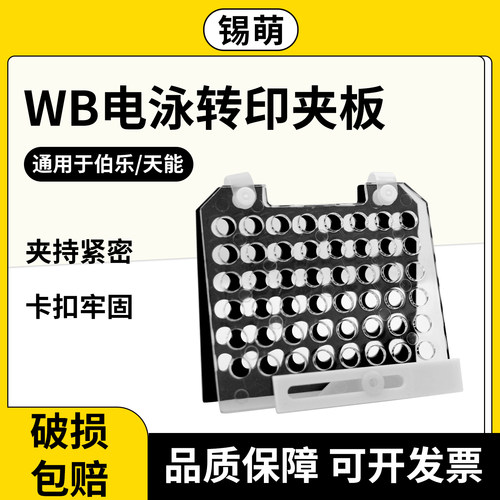 WB转膜夹转移槽样品夹板通用伯乐