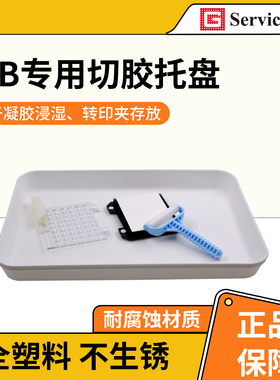 赛维尔WB切胶托盘湿转浸润电泳凝胶存放盒塑料防锈方盒Servicebio