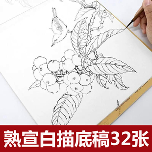 工笔画底稿白描花鸟32幅初学者可直接上色宋画小品熟宣纸工具套装