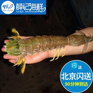 2只装每只4两 北京闪送 鲜活 超大 富贵虾 生猛海鲜 水产活虾