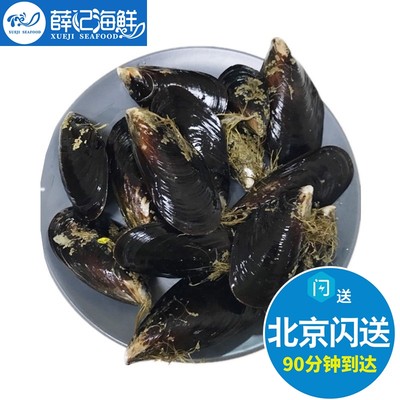 500g鲜活海虹贻贝淡菜青口