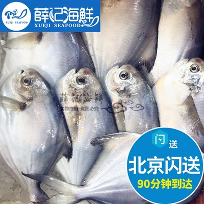 1斤1条北京闪送新鲜冷冻大平鱼