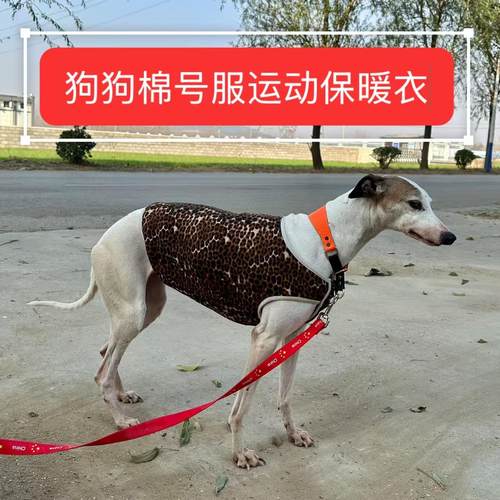 狗衣服冬季保暖惠比特衣服加绒加厚冬季保暖狗棉服格力犬细狗马甲