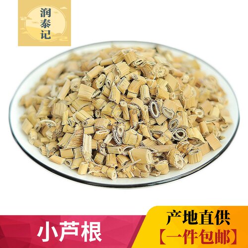 芦苇根海底椰芦苇根中药材