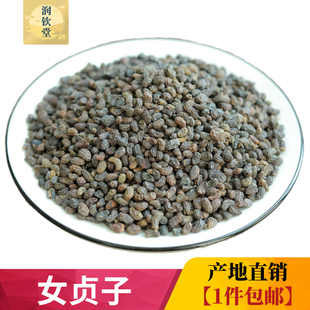女贞子籽野生当季 干货500g克男人泡茶泡酒中药材女贞籽中药冬青籽