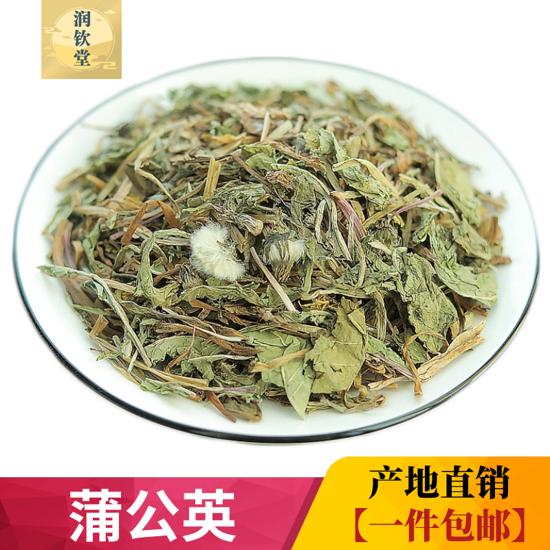 蒲公英叶新货无硫高含量干度好