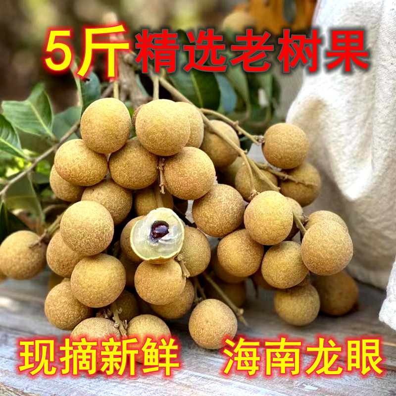 正宗三亚本地现摘龙眼5斤海南新鲜水果桂圆核小肉多现发顺丰包邮