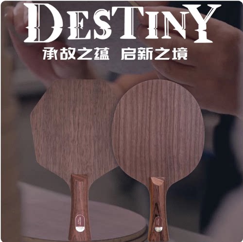 航天乒乓 STIGA斯蒂卡命运碳素乒乓球底板Destiny Carbon球拍底板
