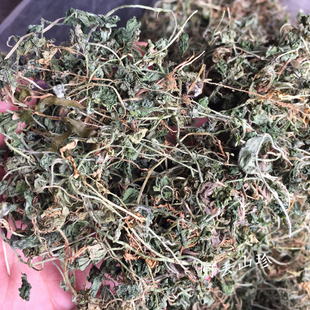 广西金秀大瑶山食用农产品 铜锤玉带草 地浮萍 250g 其它干货材料