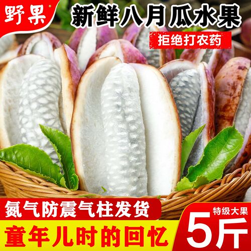 八月瓜水果八月炸新鲜野果当季生鲜野香蕉网红8月果九月黄预知子