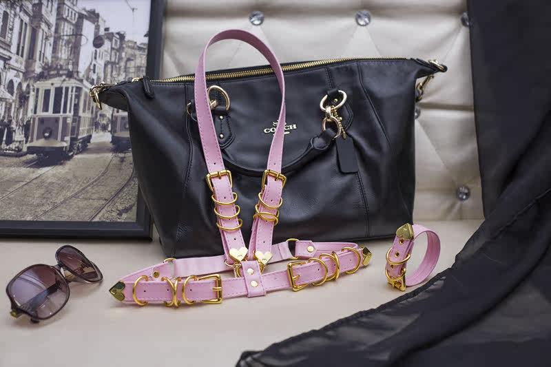 Corset - Ref 674926 Image 1