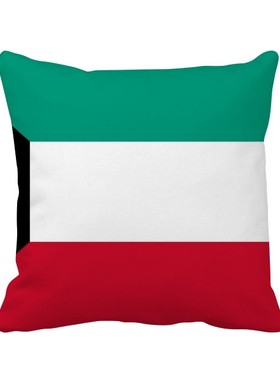 家象征符号图案方形抱枕靠枕沙发靠垫双面含芯礼物学校幼儿园装饰