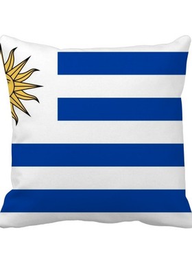 家象征符号图案方形抱枕靠枕沙发靠垫双面含芯礼物学校幼儿园装饰