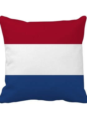 家象征符号图案方形抱枕靠枕沙发靠垫双面含芯礼物学校幼儿园装饰