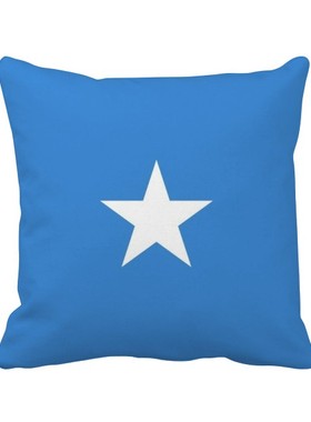 家象征符号图案方形抱枕靠枕沙发靠垫双面含芯礼物学校幼儿园装饰