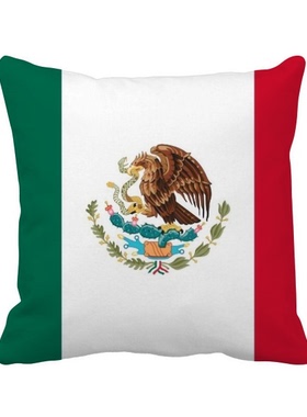 北美洲国家象征方形抱枕靠枕沙发靠垫双面含芯礼物学校幼儿园装饰