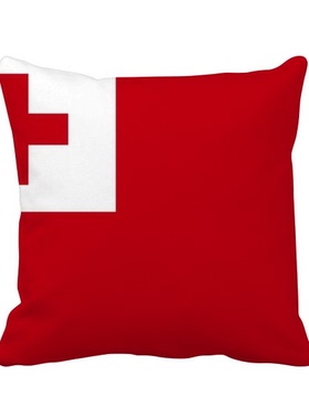 家象征符号图案方形抱枕靠枕沙发靠垫双面含芯礼物学校幼儿园装饰