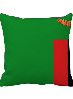 家象征符号图案方形抱枕靠枕沙发靠垫双面含芯礼物学校幼儿园装饰