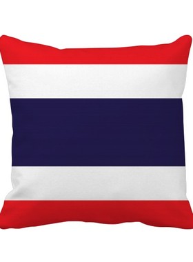 家象征符号图案方形抱枕靠枕沙发靠垫双面含芯礼物学校幼儿园装饰