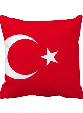 亚洲洲国家象征方形抱枕靠枕沙发靠垫双面含芯礼物学校幼儿园装饰