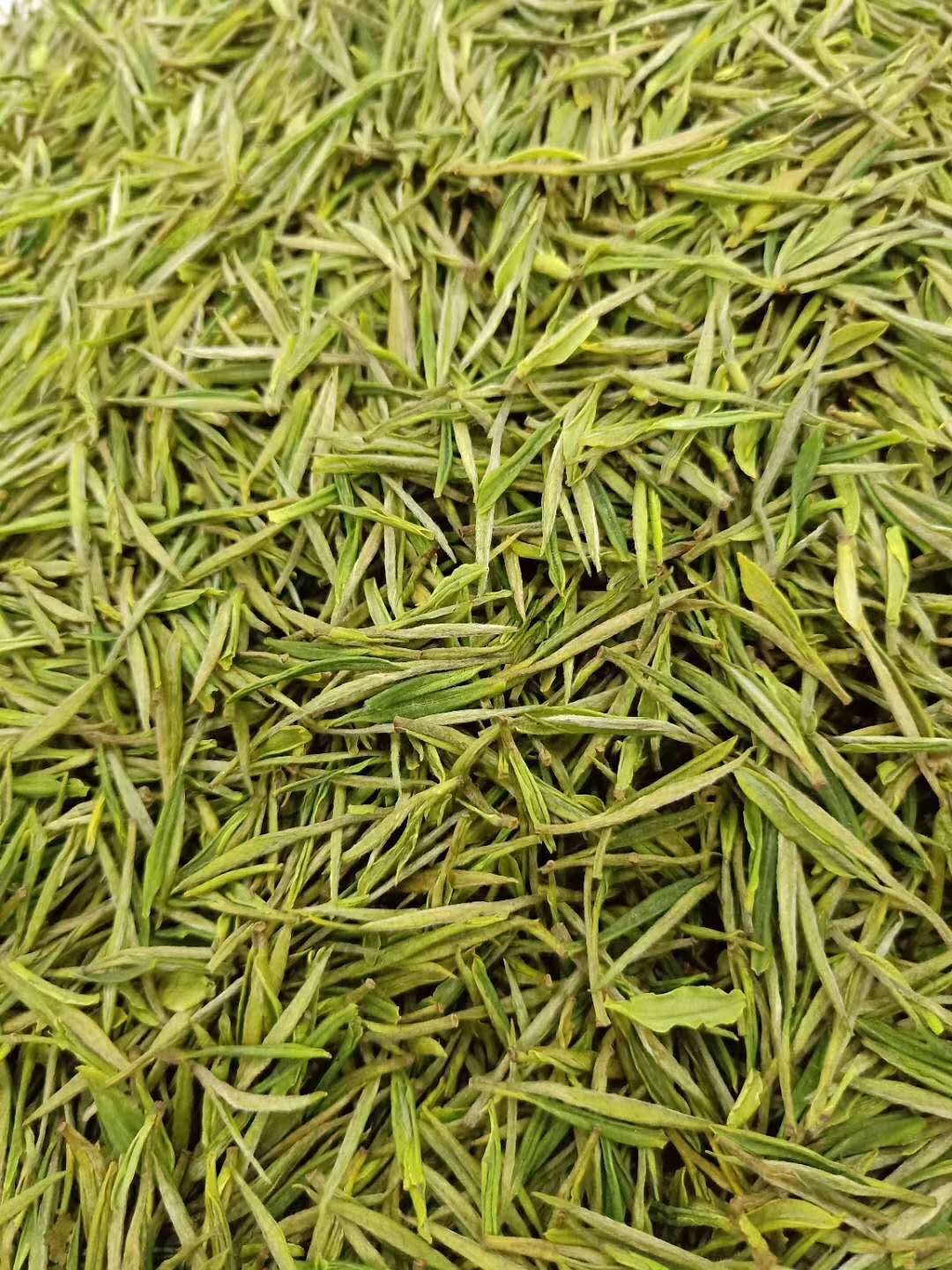 安吉白茶 茶叶 2020新茶 绿茶 原生态茶叶 明前茶