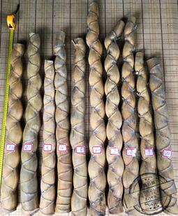 龟甲竹 竹材 原材料 7公分竹材 奇异竹 变异竹 人面竹 茶匙 茶荷
