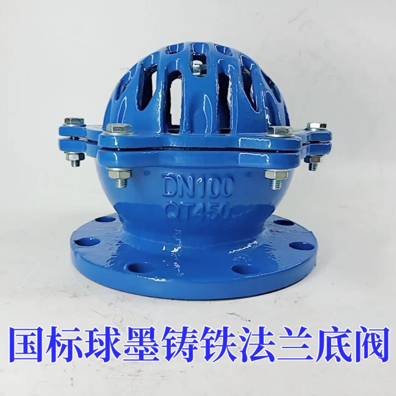 国标球墨铸铁法兰底阀H42X-10 花篮头水泵底阀消声阀抽水阀
