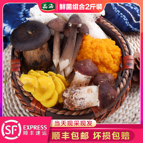现货新鲜组合斤装鸡枞云南野生菌
