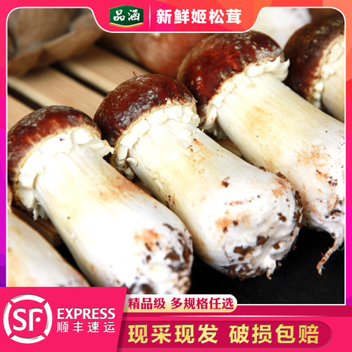 云南香格里拉特产新鲜姬松茸