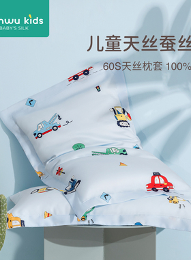 儿童a类夏季幼儿园小学生午睡专用1-3-6岁以上四季通用蚕丝枕头芯