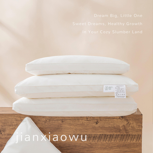 儿童枕头3到6岁幼儿园宿舍午睡专用纯棉a类助睡眠棉花枕全棉枕套